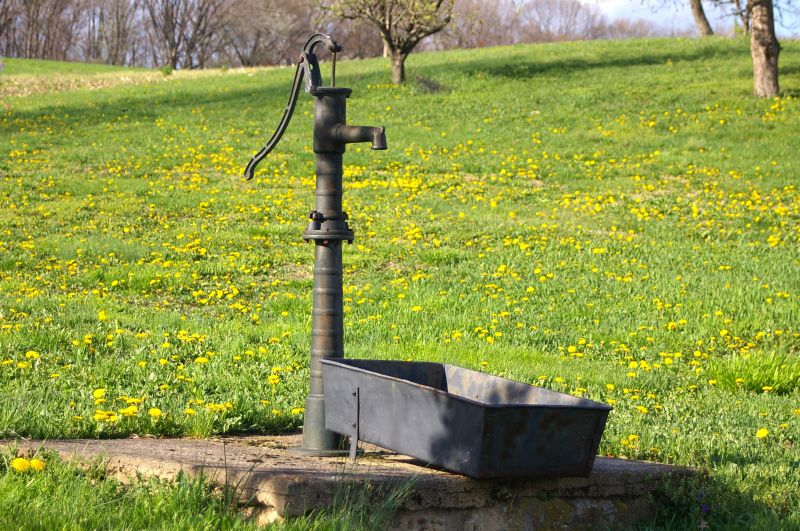 Well Pump Service in Carson City, NV